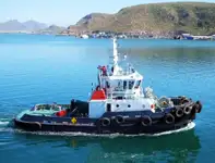 ばら積み貨物船 販売のため