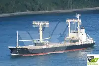 ばら積み貨物船 販売のため