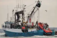 地引網 販売のため