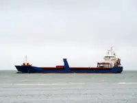 ばら積み貨物船 販売のため