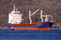 ばら積み貨物船 販売のため