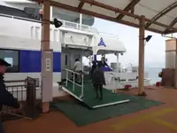 カタマラン 販売のため