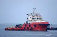 トウボート 販売のため