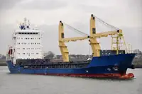 ばら積み貨物船 販売のため