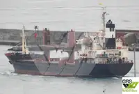 ばら積み貨物船 販売のため