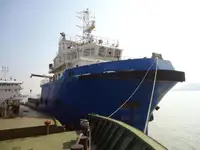 トウボート 販売のため