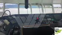 RORO船 販売のため