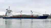 ばら積み貨物船 販売のため