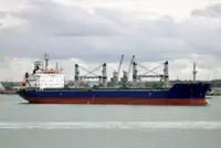 ばら積み貨物船 販売のため