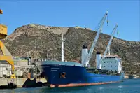 ばら積み貨物船 販売のため