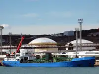 ばら積み貨物船 販売のため