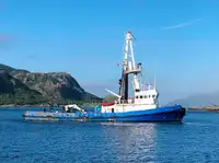 トウボート 販売のため