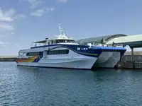 カタマラン 販売のため