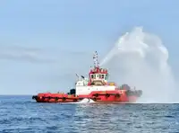 トウボート 販売のため