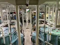 トウボート 販売のため