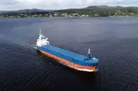 ばら積み貨物船 販売のため