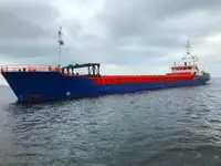 ばら積み貨物船 販売のため