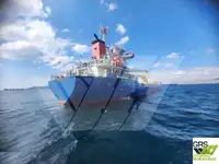 ばら積み貨物船 販売のため