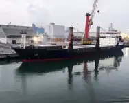 ばら積み貨物船 販売のため