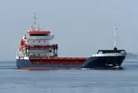 ばら積み貨物船 販売のため