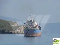 ばら積み貨物船 販売のため