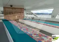 モーター船 販売のため