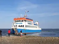 モーター船 販売のため