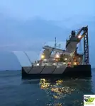 ばら積み貨物船 販売のため