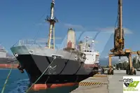 ばら積み貨物船 販売のため