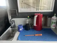 カタマラン 販売のため